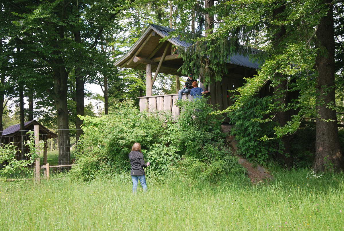 2012-06-10 Hohenroth 155.jpg